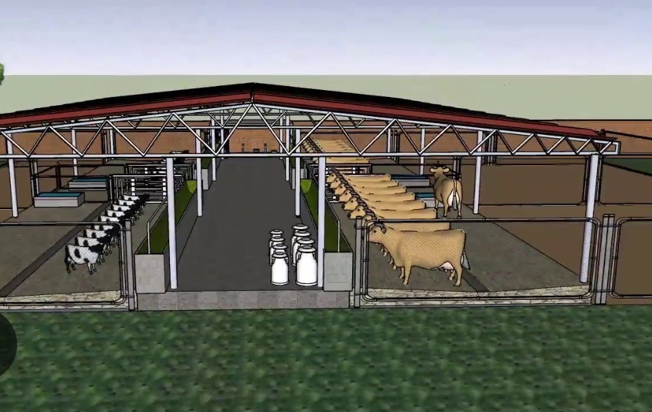 Dairy Farming 