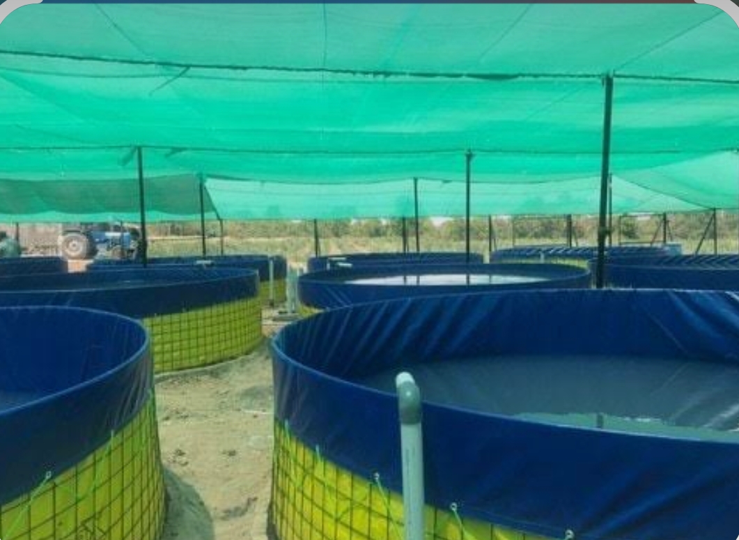  Fish Farming 