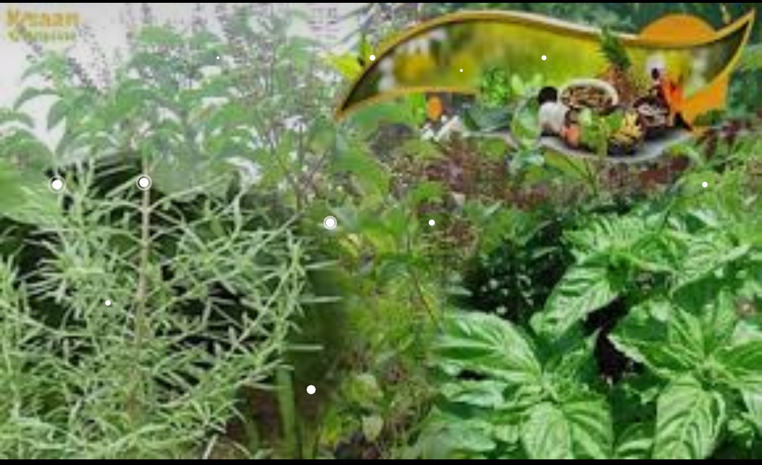 Harbal crops Farming 