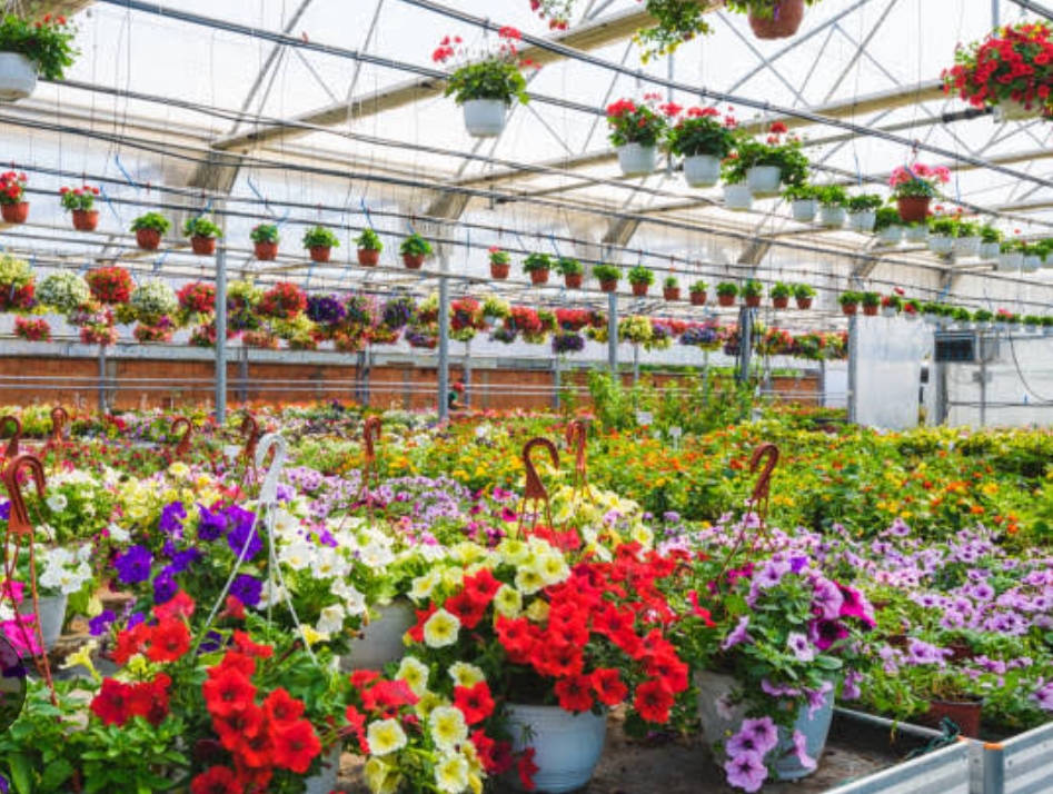 Nursery Farming 